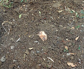 gara-2022-06-03-Noticia