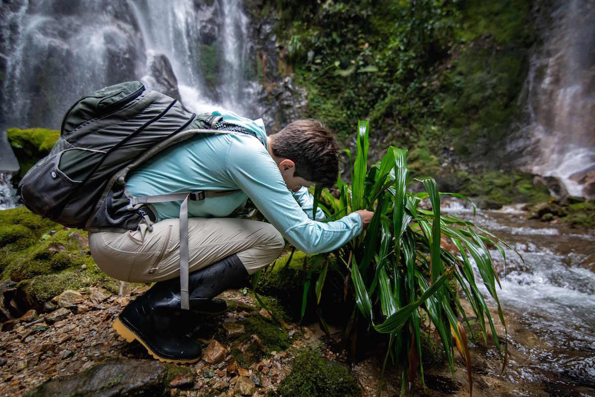 La bi&oacute;loga Andrea Ter&aacute;n busca a la rana cohete resistencia y a la arlequ&iacute;n hocicuda en el bosque de Jun&iacute;n. (Cristina VEGA RHOR/AFP)
