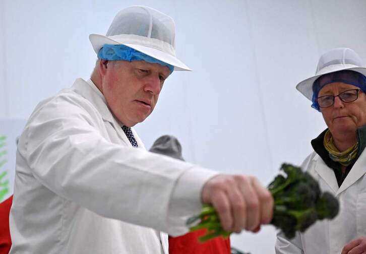  Boris Johnson ayuda a seleccionar brócoli en una visita a una granja en Hayle, el suroeste de Inglaterra.