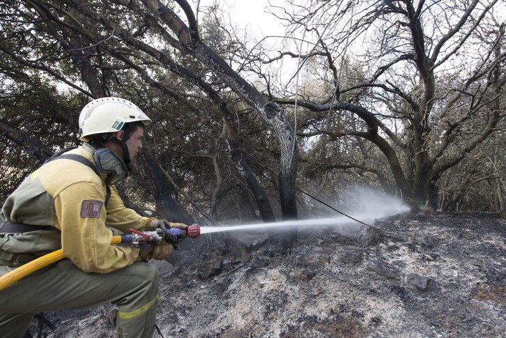 Un bombero trabaja en uno de los incendios declarados en Nafarroa.