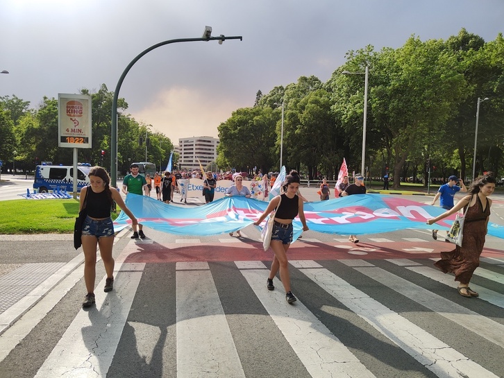 Imagen de la movilización de Sare en Iruñea.