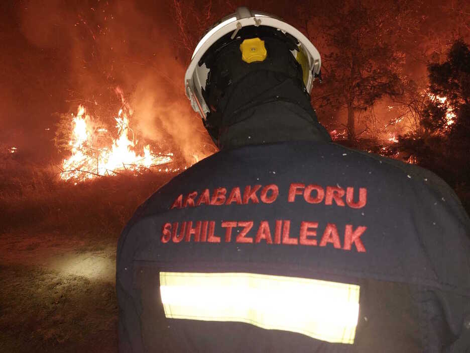 Bomberos alaveses combatiendo el incendio en las inmediaciones de Legarda.