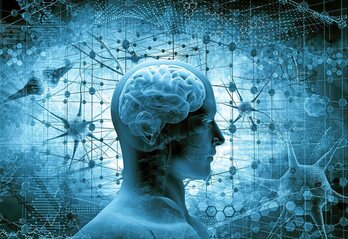 gara-2022-06-20-Noticia