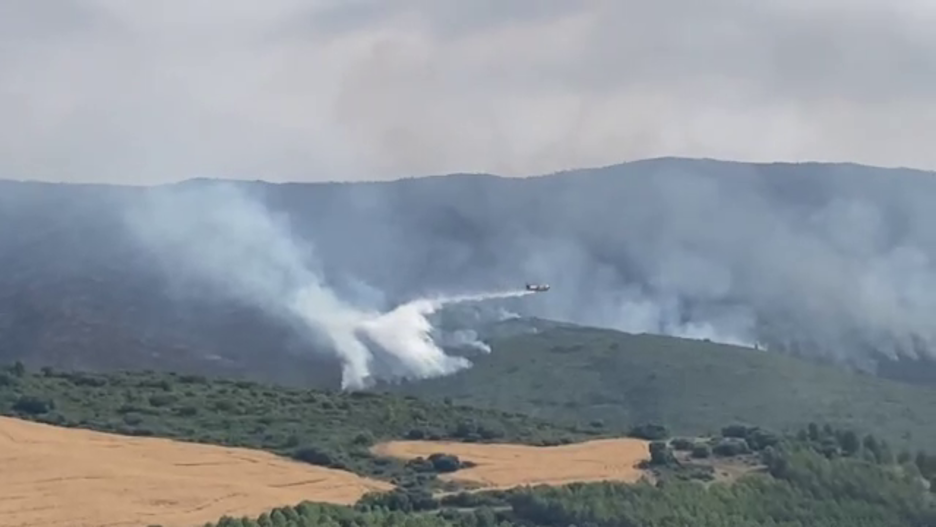 Vlcsnap-2022-06-21-12h44m09s622