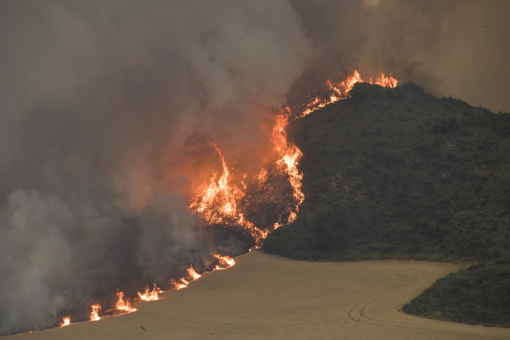 Los incendios afectaron a un total de 12.000 forestales y 2.257 de cultivo en Nafarroa. 