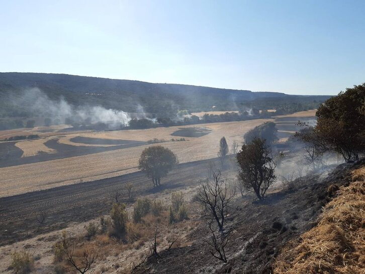 El incendio de Mendoza se ha dado por controlado.