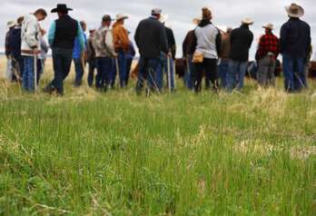 Un grupo de rancheros de Nuevo México (EEUU) escucha a un educador durante la Academia de Salud del Suelo, donde se enseñan técnicas de agricultura regenerativa.
