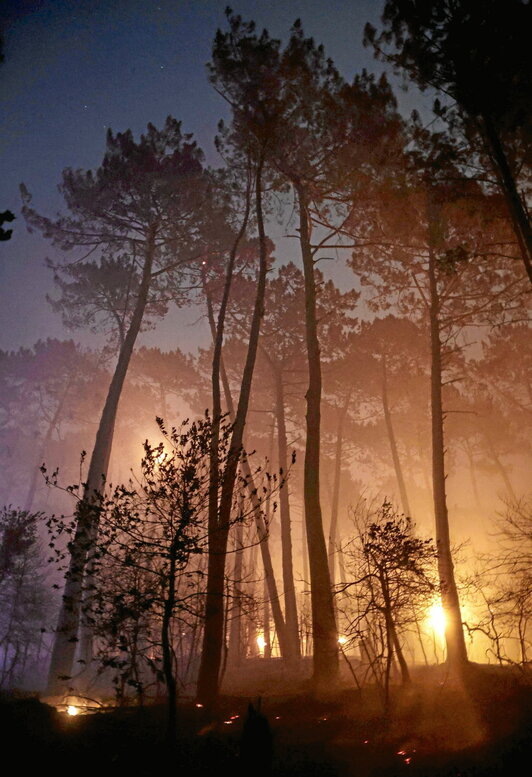 Incendio forestal en el área de Cazaux-lac, cerca de La Teste-de-Buch y de Biscarrosse.