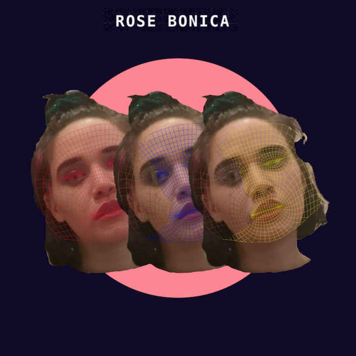 Rose Bonica 