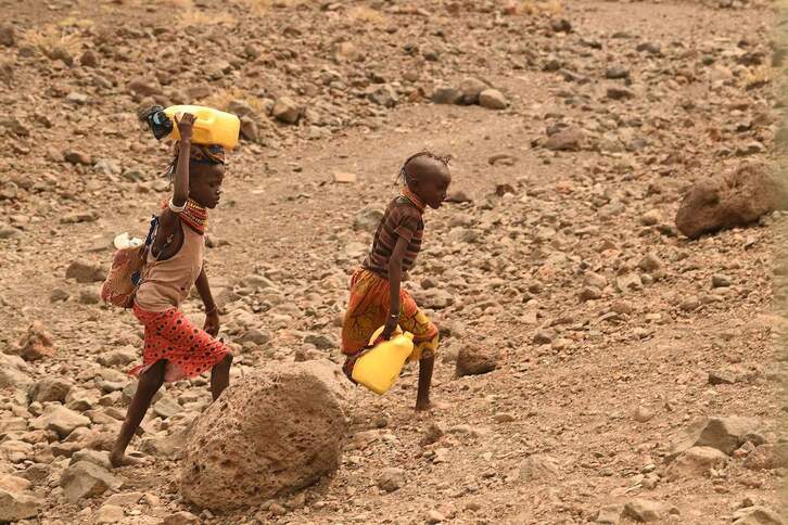 Dos menores buscan agua en plena sequía en África.