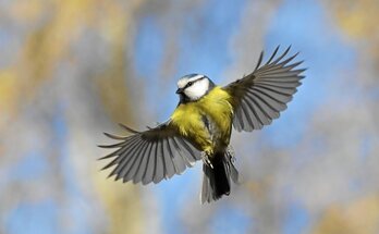 gara-2022-07-21-Reportaje