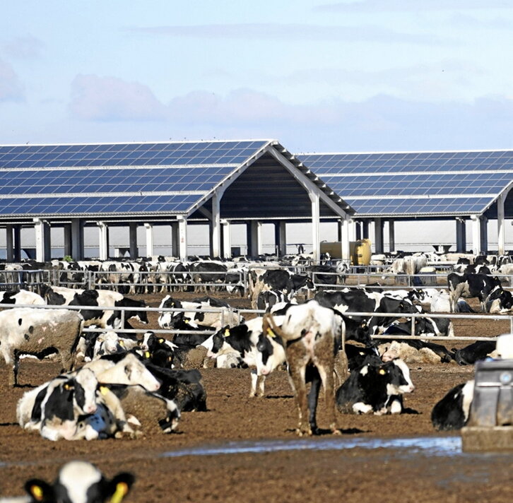 Granja de Valle de Odieta en Caparroso.