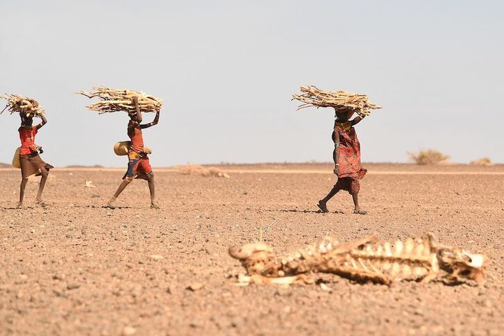 Lehortea eta gosea orokorrean gogor kolpatzen ari dira Afrikan, Somalian eta Kenian bereziki.
