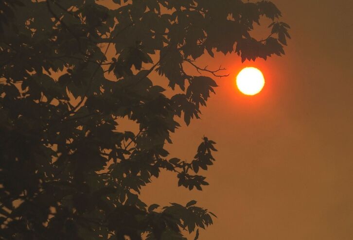 El Sol se formó como una estrella hace cerca de 4.570 millones de años.