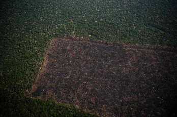 Foto aérea que evidencia la deforestación de la Amazonía en Brasil.