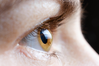 La córnea es la capa transparente más externa del ojo.