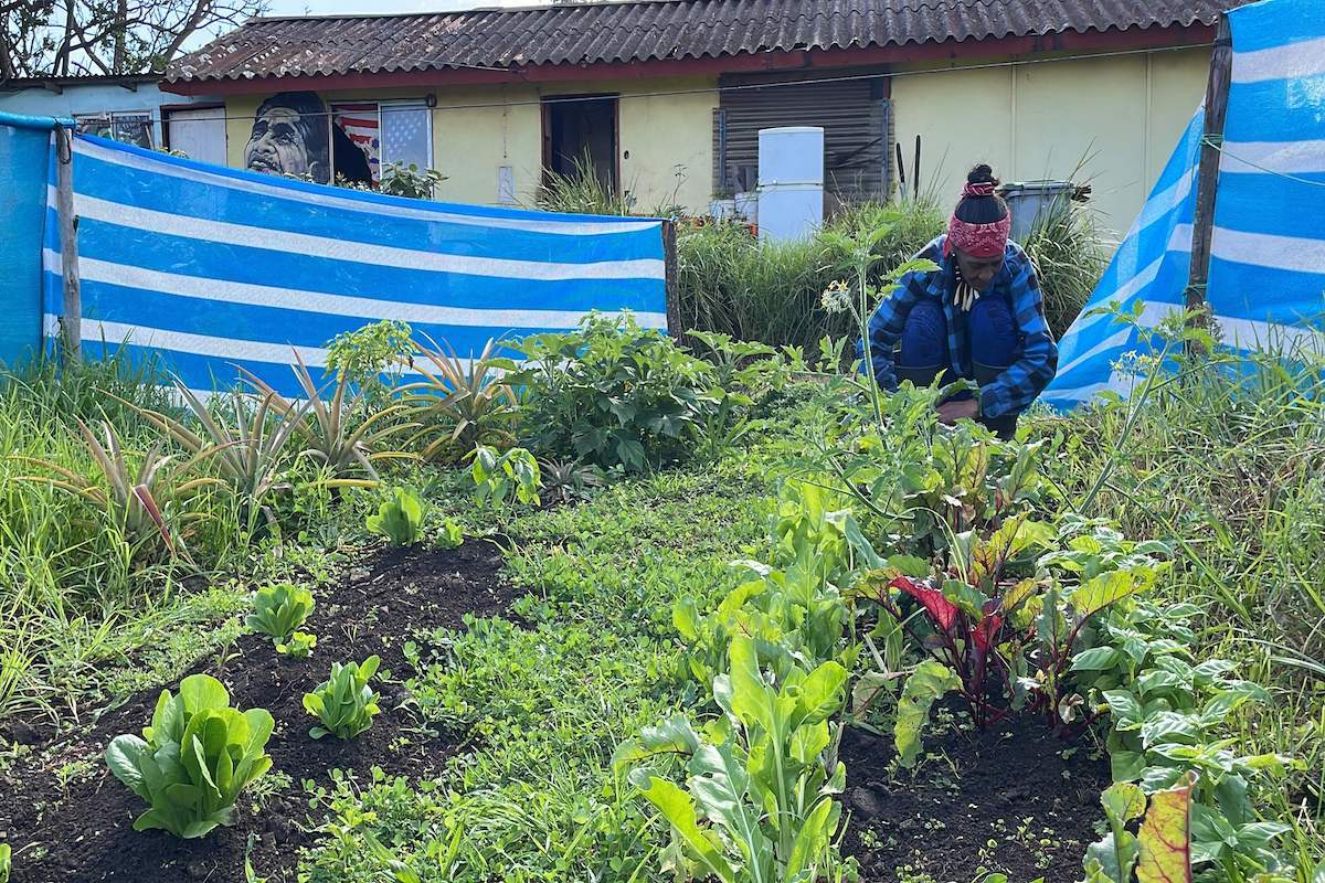 Olga Ickapakaratik bi baratze jarri behar izan zituen uharteko turismoa eten zenean. (Hanga ROA/AFP)