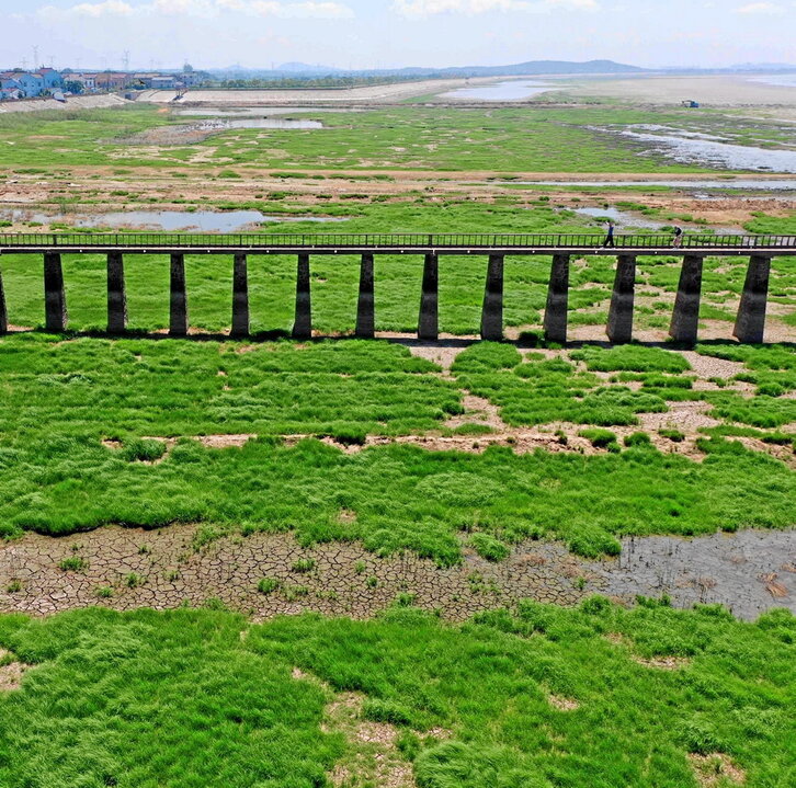Zonas secas de un lago cerca de la ciudad de Nanking, en la provincia de Jiangsu, el 21 de agosto.