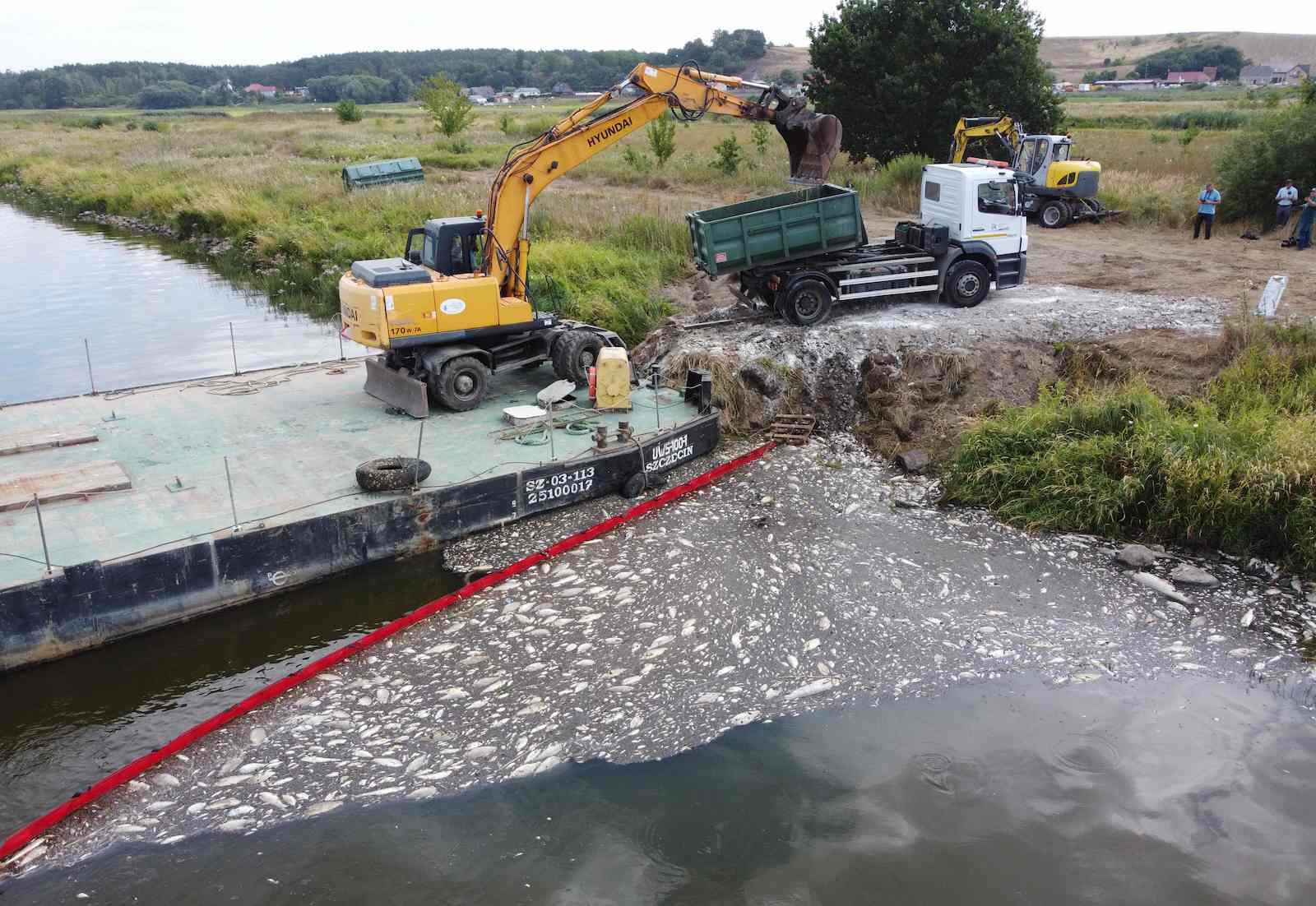 Z zanieczyszczenia rzeki dzielącej Niemcy i Polskę usuwają 300 ton martwych ryb  Mundua