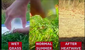 Captura_de_pantalla_2022-08-28_a_las_18.01.26