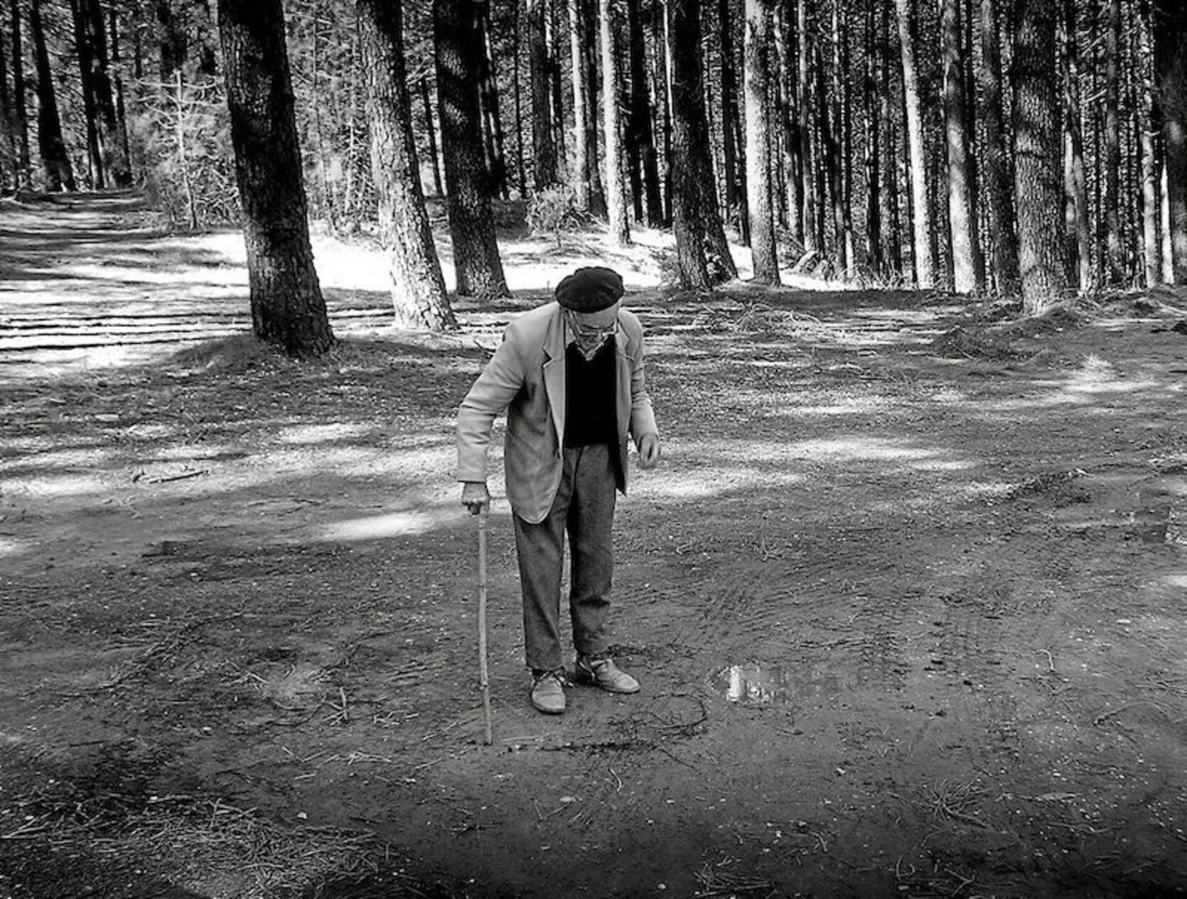 Francisco Fernández Blázquez señala el lugar en que enterraron a su padre.