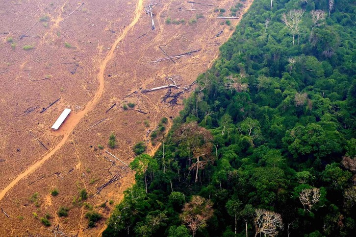 Vista de un área deforestada en la selva amazónica, en la región brasileña de Labrea, el pasado 2 de setiembre.