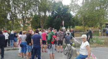 Lutxana auzoko zuhaitz mozketa geldiarazi dute ekologistek.