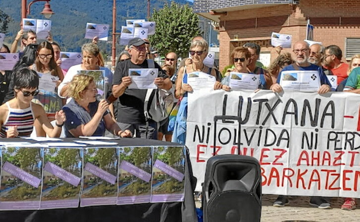 Asociaciones vecinales y ecologistas denunciaron la tala.