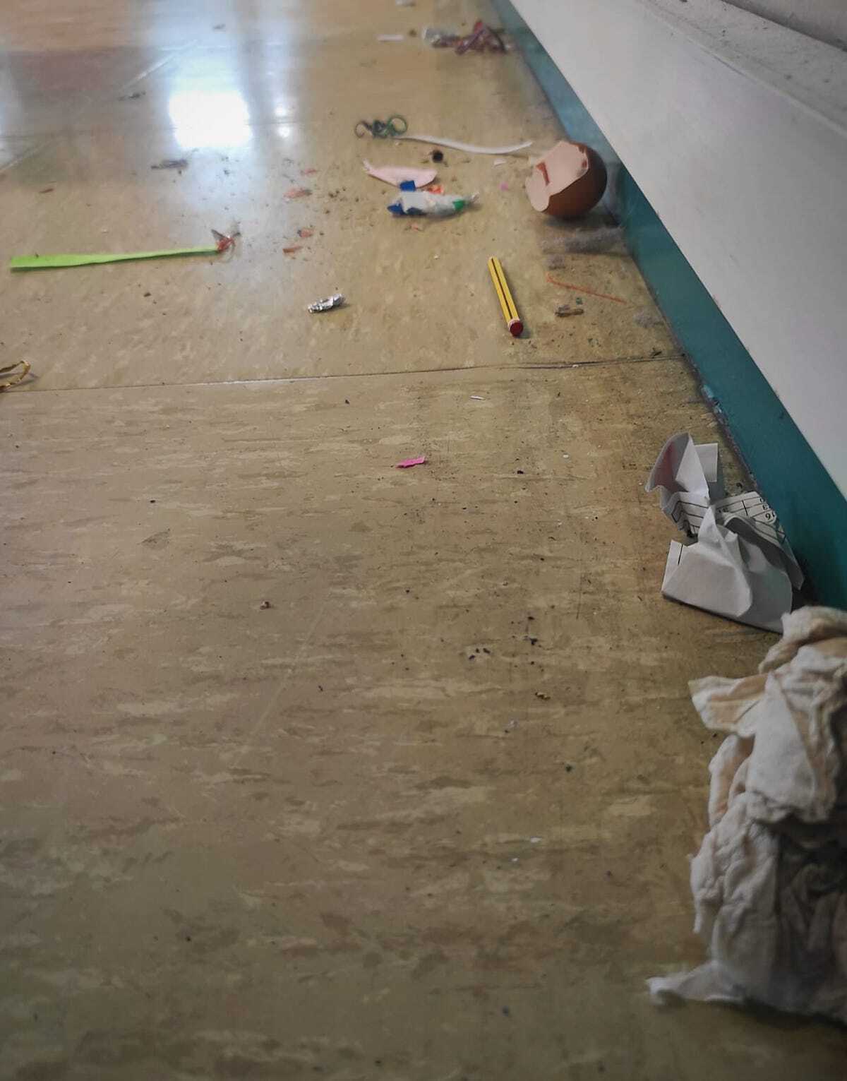 Arrautza-oskol zatiak ere aurki daitezke lurrean. (GURASO ELKARTEA)