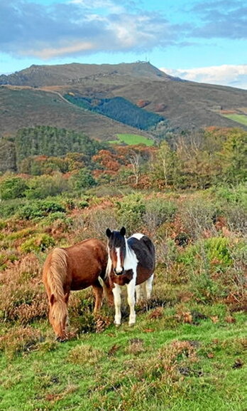 gara-2022-09-22-Noticia