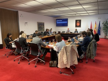 La consejera de Salud, Santos Induráin, durante la comisión celebrada este martes en el Parlamento navarro. 
