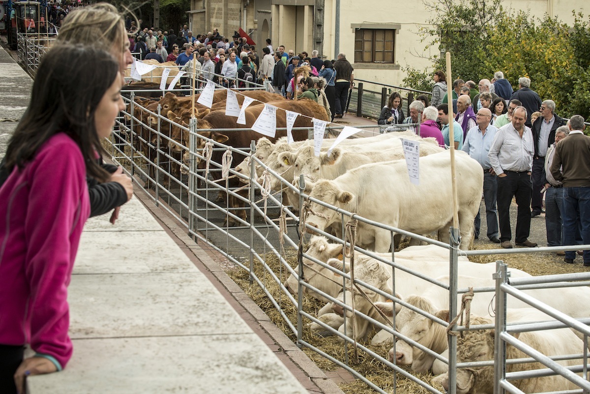 Agurain recuperará el próximo martes su feria de ganado, la más antigua de Euskal Herria. (Jaizki FONTANEDA / FOKU)