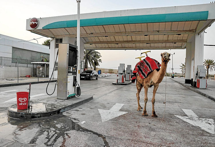 rdania, Palestina. Menahem Kahana | AFP