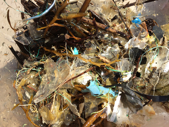 Basura marina recogida en el golfo de Bizkaia durante la investigación de AZTI.