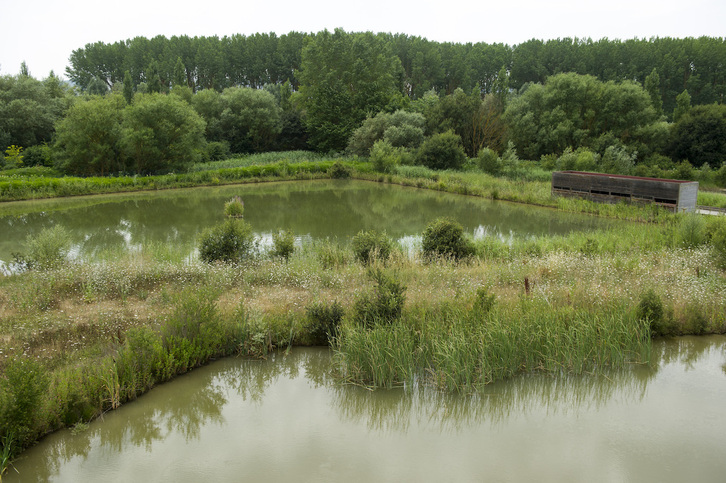 Centro de Interpretación de Humedales Ataria, en Salburua.