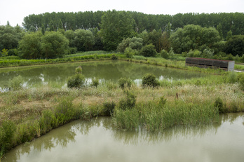 Centro de Interpretación de Humedales Ataria, en Salburua.
