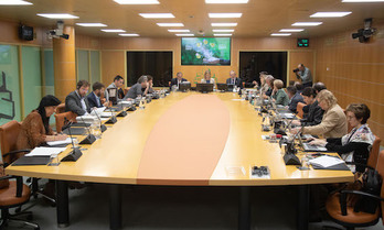 El consejero de Economía y Hacienda, Pedro Azpiazu, fue el primero en comparecen ante el Parlamento.