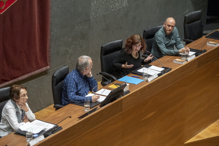 Carmen Hernando, Alberto Goñi, Rosa Lluch y Mikel Soto, en la sesión del Foro Social y el Parlamento navarro.