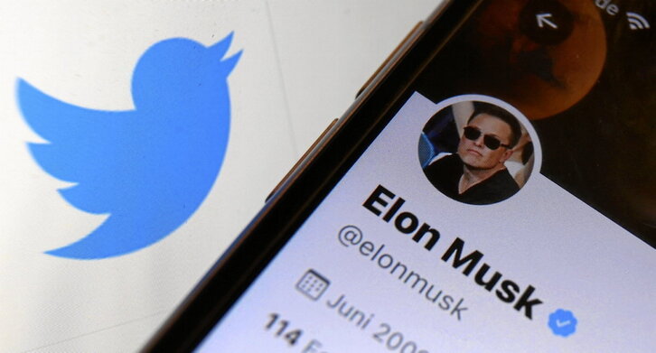 Detalle de la cuenta de Elon Musk en Twitter.