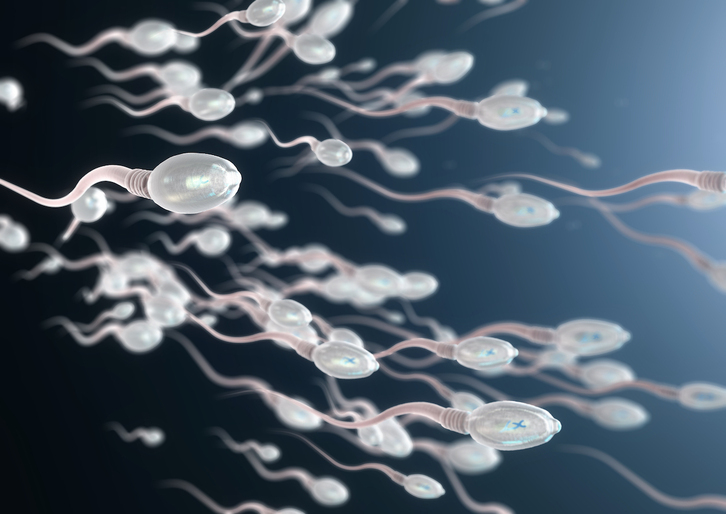 De 101 millones de espermatozoides por mililitro en 1973 a 49 en 2018.