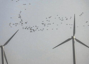 Parc éolien d’Eneriz-Tirapu, en Navarre.