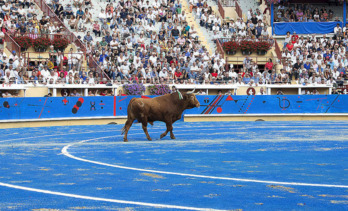 Baiona sigue acogiendo corridas de toros.