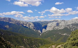 gara-2022-11-25-Reportaje