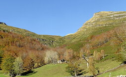 gara-2022-11-25-Reportaje