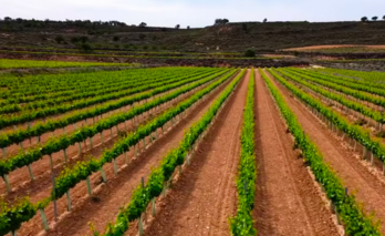 Captura_de_pantalla_2022-11-25_a_las_16.28.36