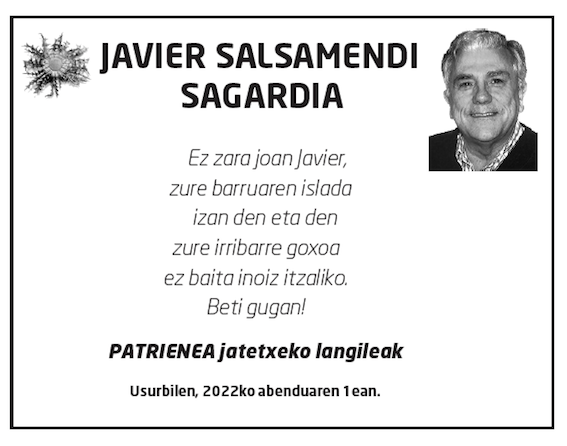 Javier-salsamendi-sagardia-2