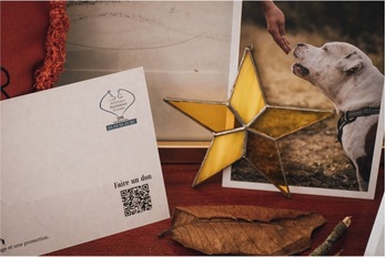 Le refuge de Bayonne propose d'acheter des cartes postales animales pour le soutenir financièrement.