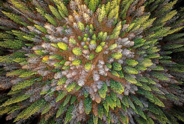 Argazkia: Valentin Flauraud | AFP