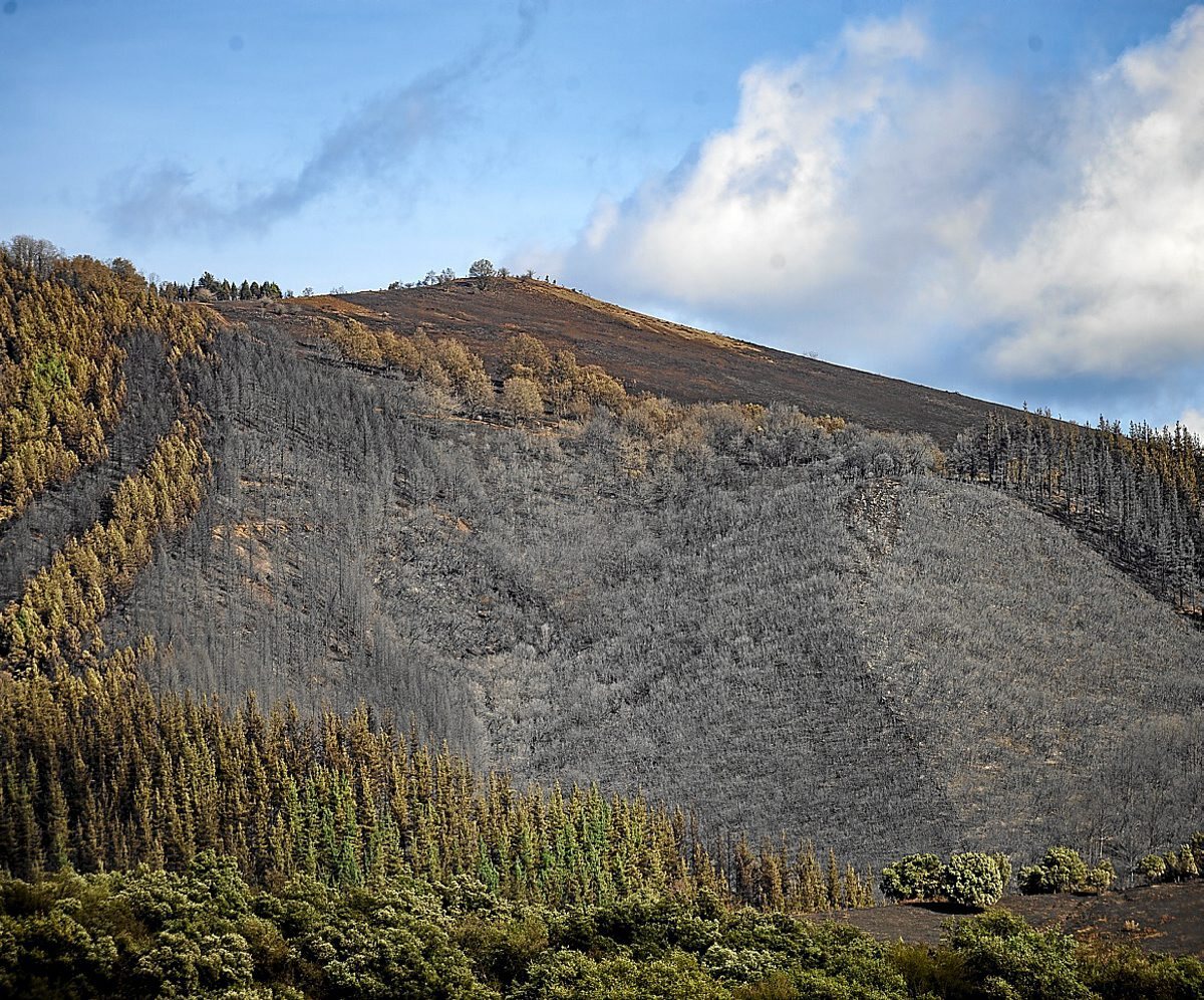 Irudian, monolaborantzak dituzten mendiak Balmasedan, pasa den urrian sutea izan zen inguruan. (Jaizki FONTANEDA / FOKU)