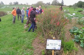 Lors de la visite de l’ESAT Château Bellevue avec tous les participants. 